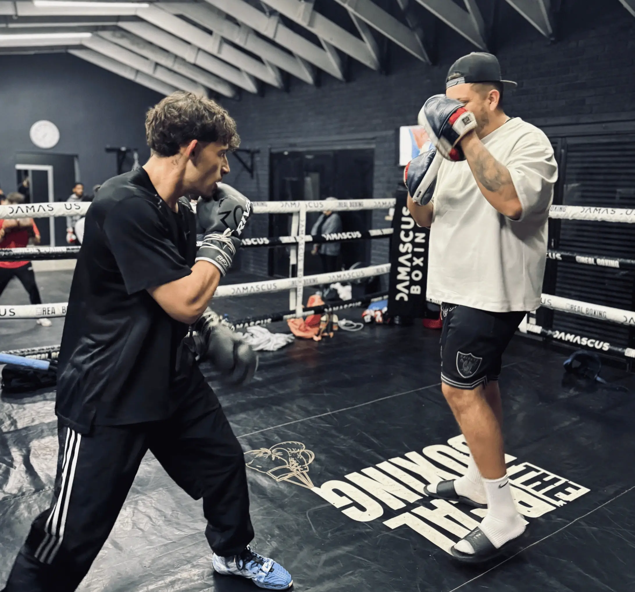 Boxing and fitness training session
