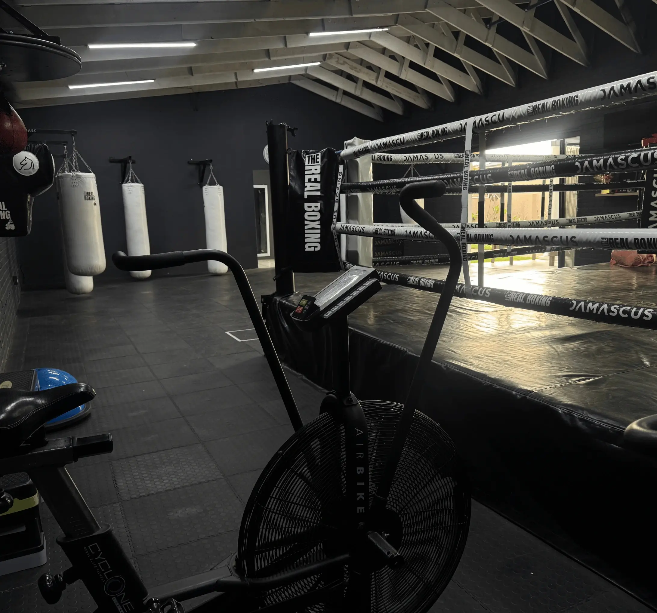 Speed bags at The Real Boxing Gym